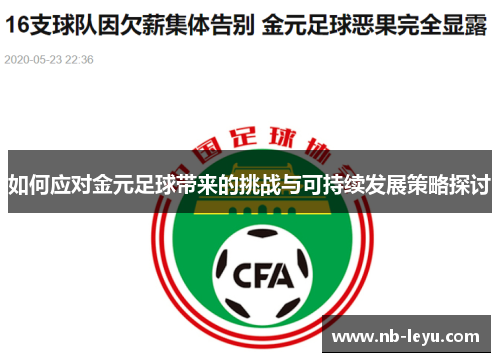 如何应对金元足球带来的挑战与可持续发展策略探讨