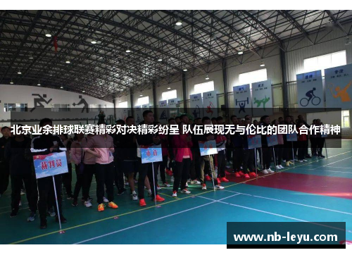 北京业余排球联赛精彩对决精彩纷呈 队伍展现无与伦比的团队合作精神
