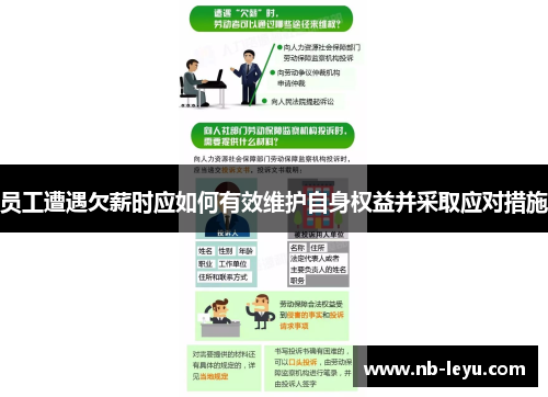 员工遭遇欠薪时应如何有效维护自身权益并采取应对措施