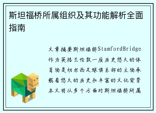 斯坦福桥所属组织及其功能解析全面指南