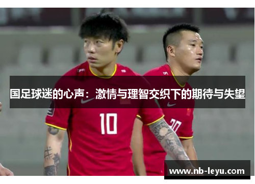 国足球迷的心声：激情与理智交织下的期待与失望