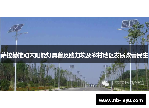 萨拉赫推动太阳能灯具普及助力埃及农村地区发展改善民生