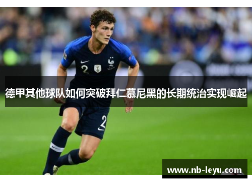 德甲其他球队如何突破拜仁慕尼黑的长期统治实现崛起