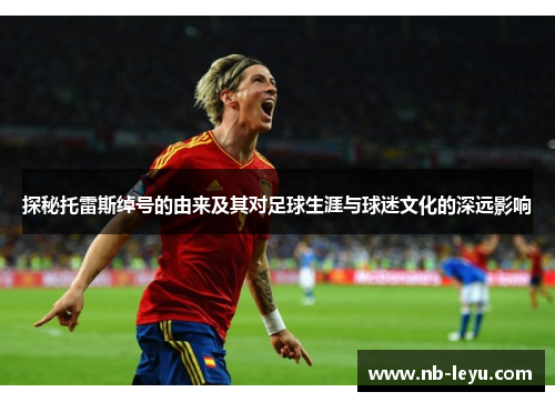 探秘托雷斯绰号的由来及其对足球生涯与球迷文化的深远影响