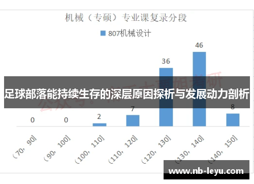 足球部落能持续生存的深层原因探析与发展动力剖析 足球部落能持续生存的深层原因探析与发展动力剖析