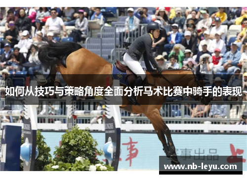 如何从技巧与策略角度全面分析马术比赛中骑手的表现