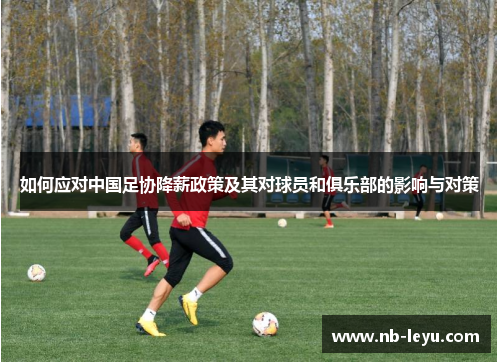 如何应对中国足协降薪政策及其对球员和俱乐部的影响与对策