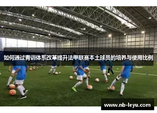 如何通过青训体系改革提升法甲联赛本土球员的培养与使用比例