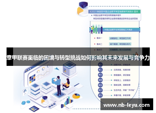 意甲联赛面临的困境与转型挑战如何影响其未来发展与竞争力